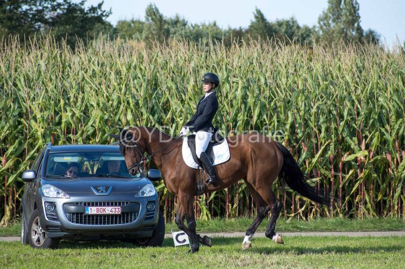 20241006-20241006-dsc_5980-standard.jpg