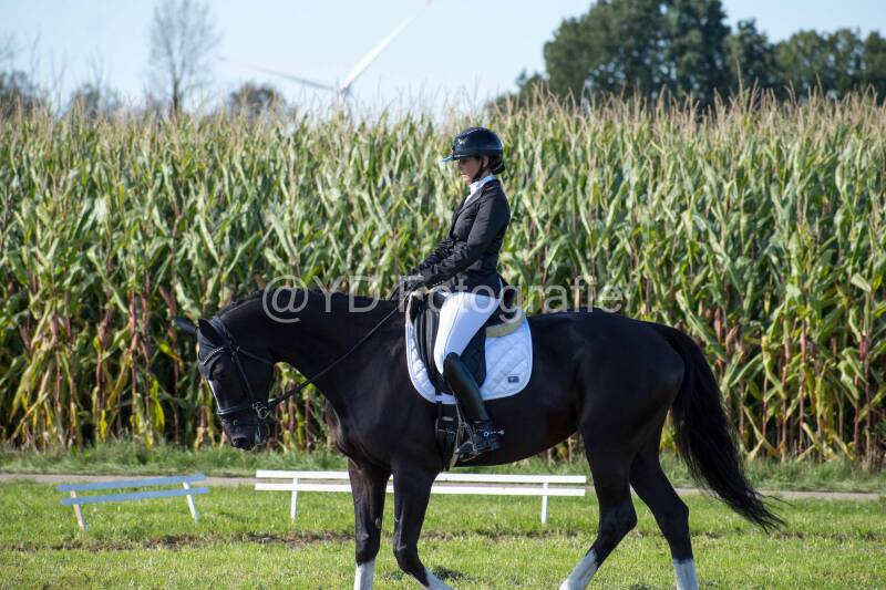 20241006-20241006-dsc_5981-standard.jpg