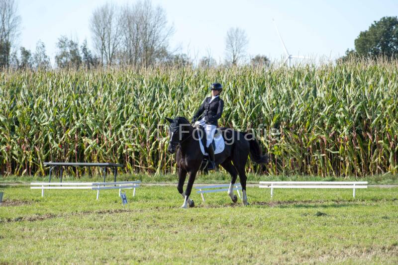 20241006-20241006-dsc_5986-standard.jpg