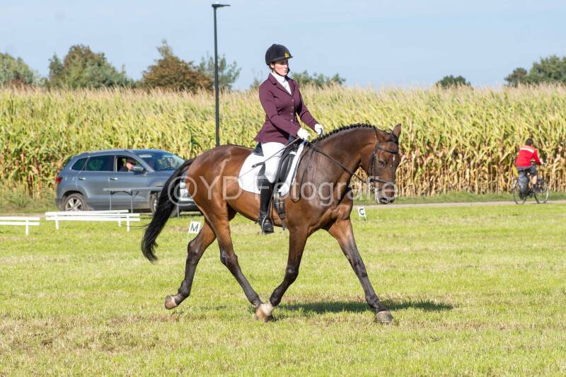 20241006-20241006-dsc_5988-standard.jpg