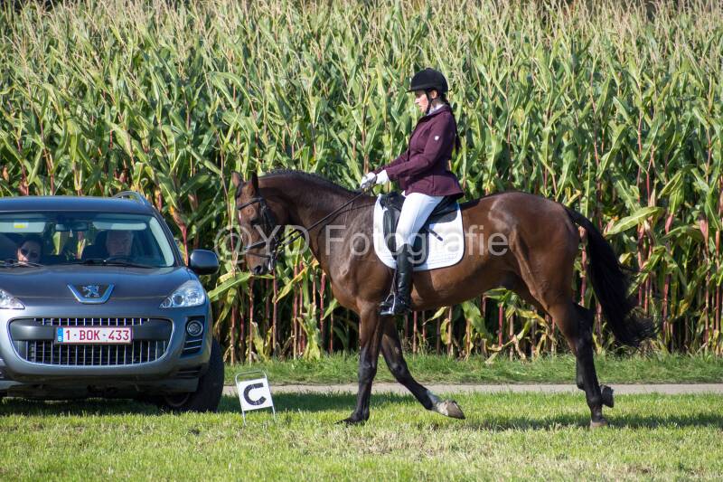 20241006-20241006-dsc_5996-standard.jpg
