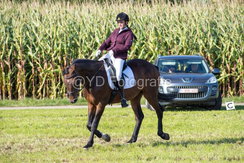 20241006-20241006-dsc_6001-standard.jpg