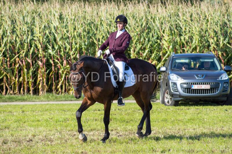 20241006-20241006-dsc_6002-standard.jpg