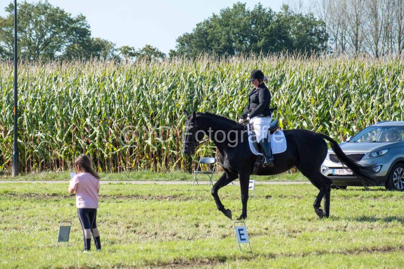 20241006-20241006-dsc_6004-standard.jpg