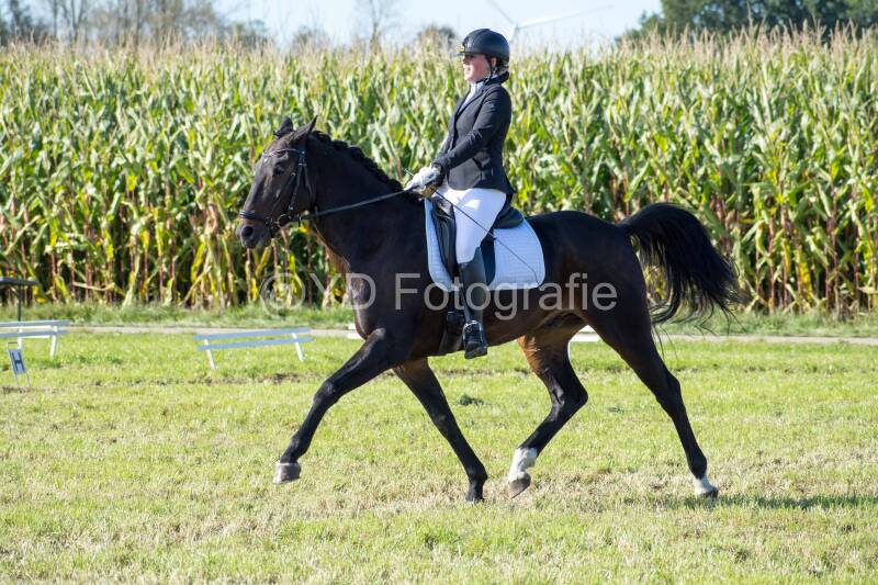 20241006-20241006-dsc_6025-standard.jpg