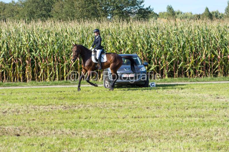 20241006-20241006-dsc_6030-standard.jpg