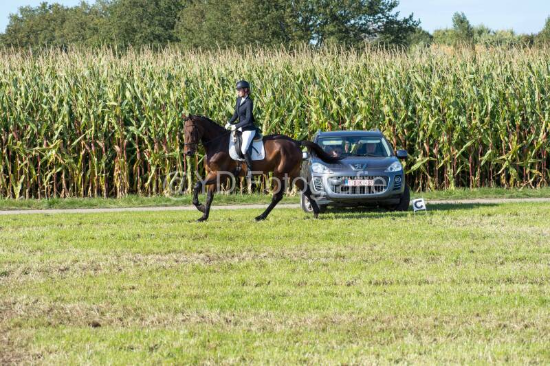 20241006-20241006-dsc_6031-standard.jpg