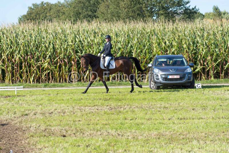 20241006-20241006-dsc_6032-standard.jpg
