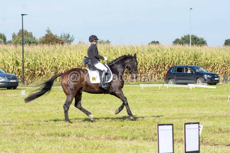 20241006-20241006-dsc_6036-standard.jpg