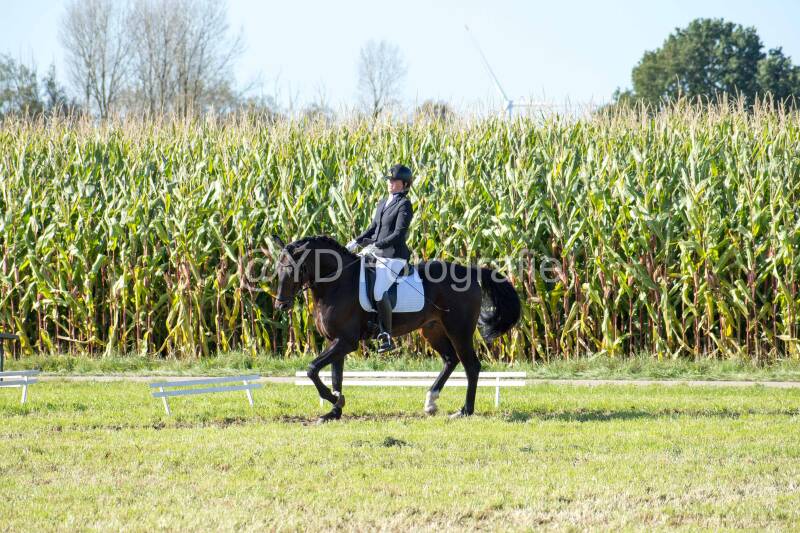 20241006-20241006-dsc_6045-standard.jpg