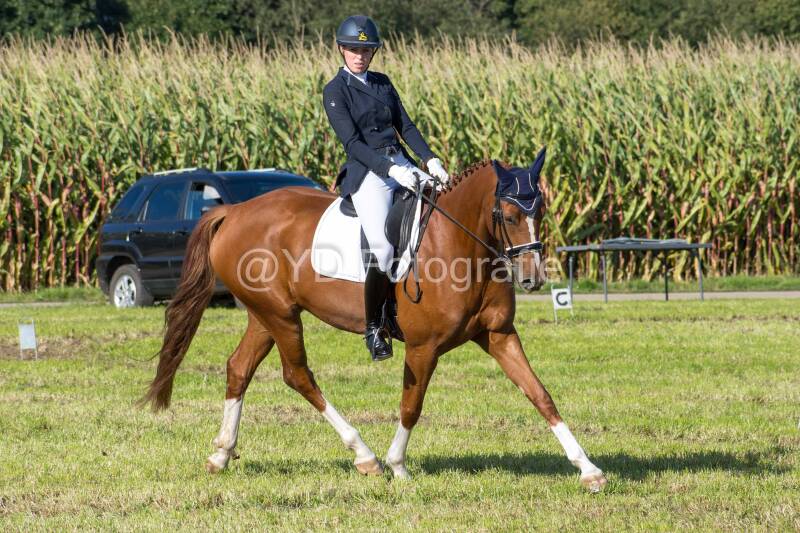 20241006-20241006-dsc_6052-standard.jpg