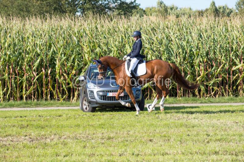 20241006-20241006-dsc_6061-standard.jpg