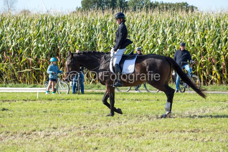 20241006-20241006-dsc_6082-standard.jpg