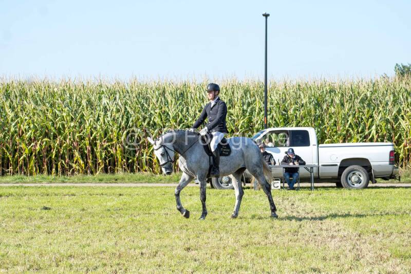 20241006-20241006-dsc_6115-standard.jpg