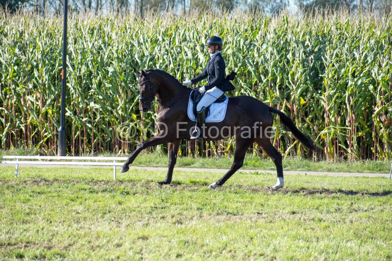 20241006-20241006-dsc_6123-standard.jpg