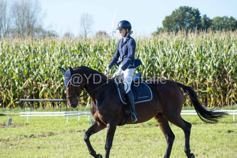 20241006-20241006-dsc_6126-standard.jpg