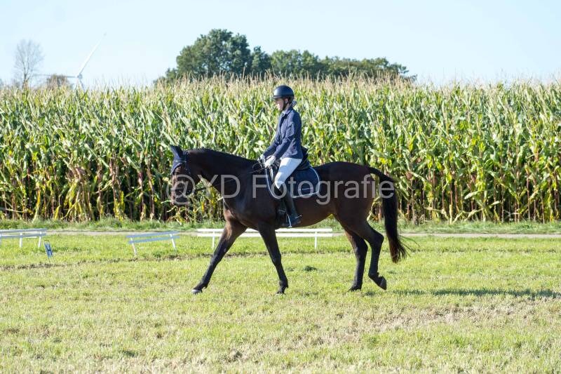 20241006-20241006-dsc_6134-standard.jpg