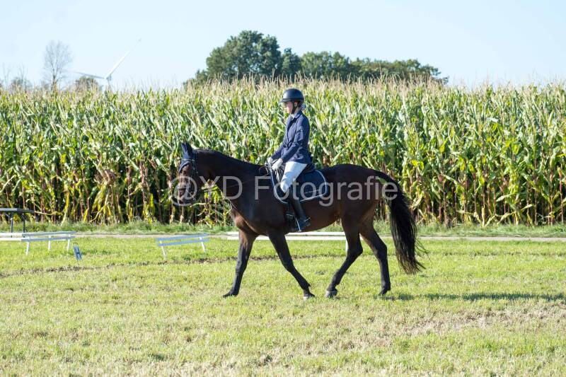 20241006-20241006-dsc_6135-standard.jpg