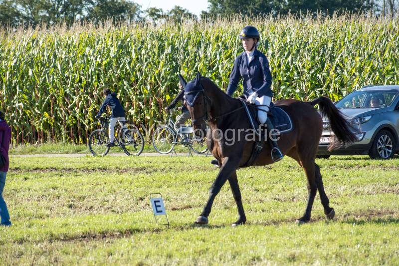 20241006-20241006-dsc_6142-standard.jpg