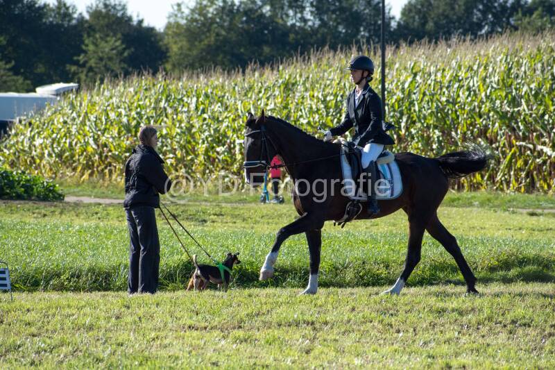 20241006-20241006-dsc_6154-standard.jpg