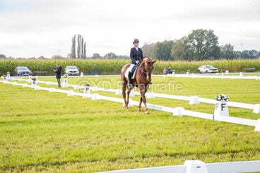 20241006-_dsc0004-standard-c8se30.jpg