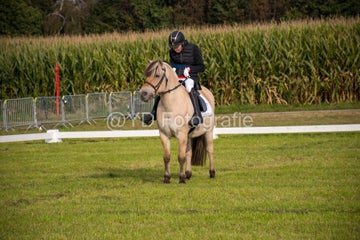 20241006-_dsc0024-standard.jpg