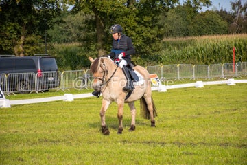 20241006-_dsc0026-standard.jpg