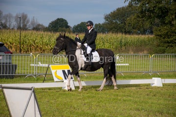 20241006-_dsc0038-standard.jpg