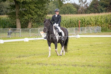 20241006-_dsc0046-standard.jpg