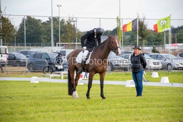 20241006-_dsc0047-standard.jpg