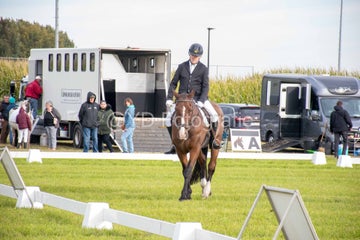 20241006-_dsc0048-standard.jpg