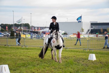 20241006-_dsc0059-standard.jpg