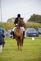 20241006-_dsc0061-standard.jpg