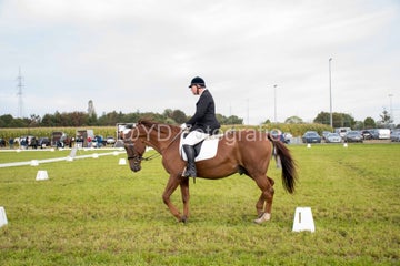 20241006-_dsc0066-standard.jpg