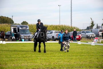 20241006-_dsc0068-standard.jpg