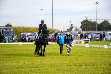 20241006-_dsc0069-standard.jpg