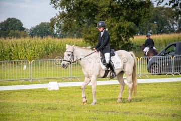 20241006-_dsc0075-standard.jpg