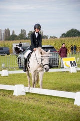 20241006-_dsc0078-standard.jpg