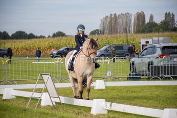 20241006-_dsc0092-standard.jpg