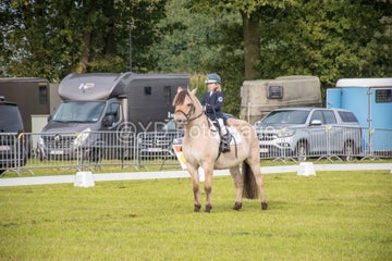 20241006-_dsc0097-standard.jpg