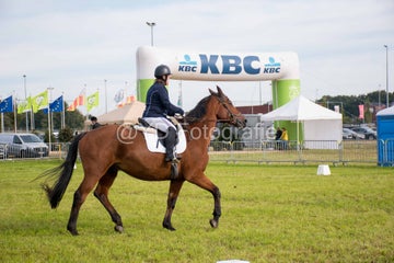 20241006-_dsc0103-standard.jpg