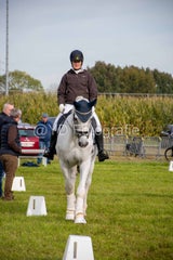 20241006-_dsc0105-standard.jpg