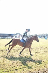 20241006-_dsc0107-standard-7rrupg.jpg