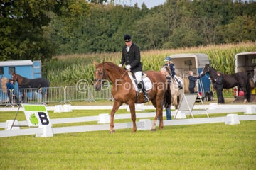 20241006-_dsc0107-standard.jpg