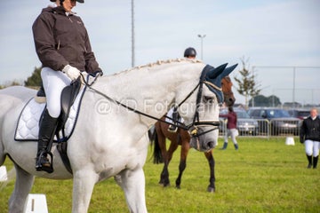 20241006-_dsc0114-standard.jpg
