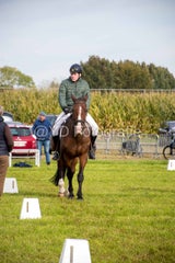 20241006-_dsc0117-standard.jpg
