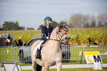 20241006-_dsc0121-standard.jpg