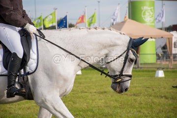 20241006-_dsc0123-standard.jpg