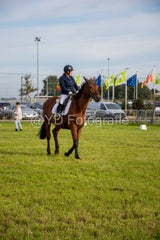 20241006-_dsc0124-standard.jpg