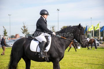 20241006-_dsc0128-standard.jpg